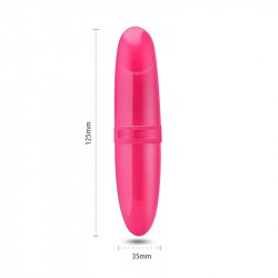 Mini vibrador delfin