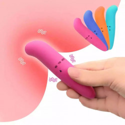 Mini vibrador delfin