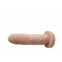 Plug anal A,B,C,D,E,