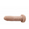 Plug anal A,B,C,D,E,