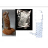 Fundas  para pene A,B,C,D,E, F
